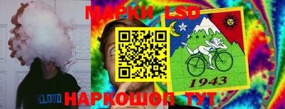 мяу мяу мука Новодвинск