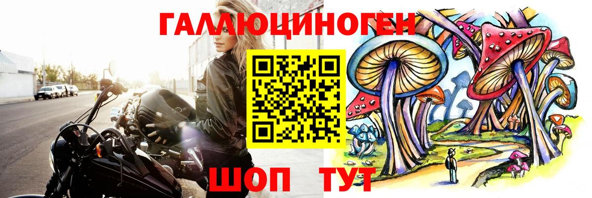 Галлюциногенные грибы прущие грибы Костомукша