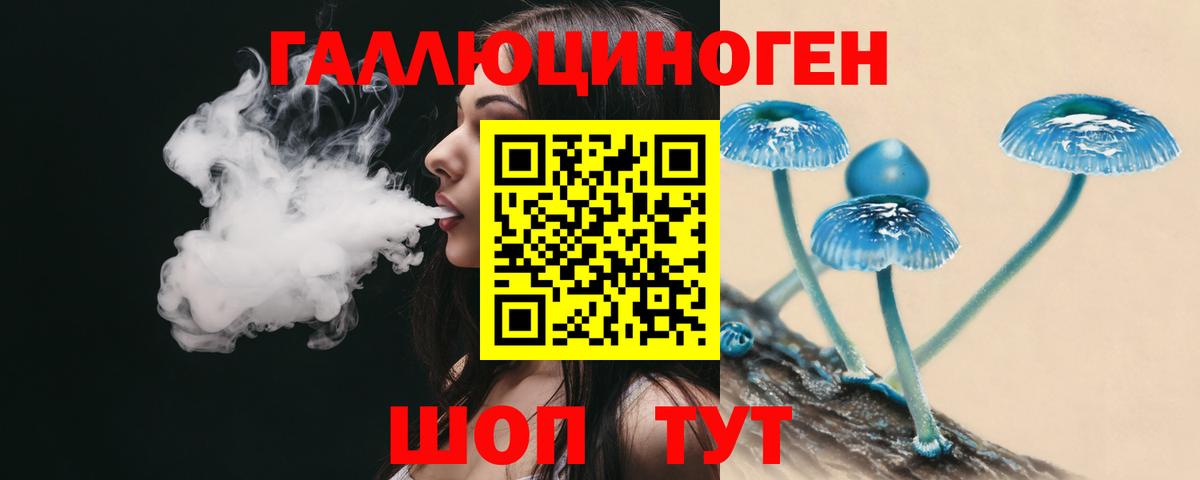 Костомукша  Псилоцибиновые грибы Magic Shrooms  Вход с VPN 